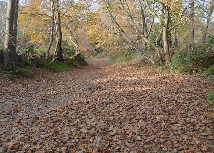 Charoula Apartamento *