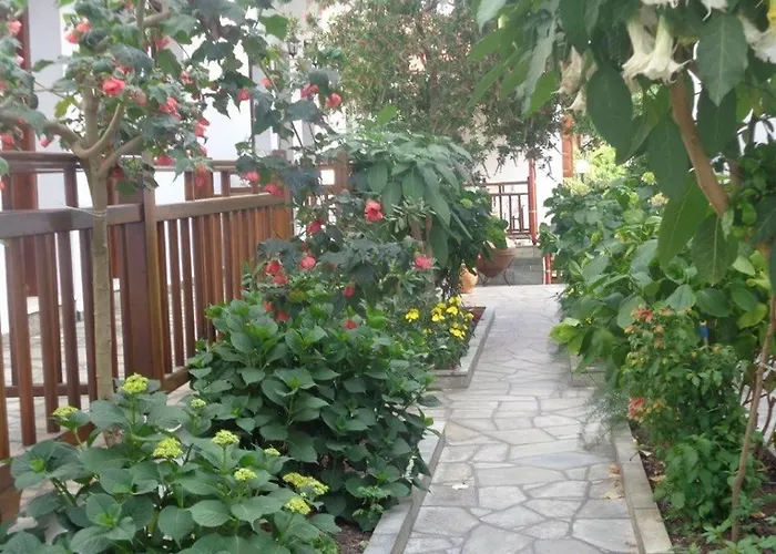 Charoula Platanias (Thessaly)